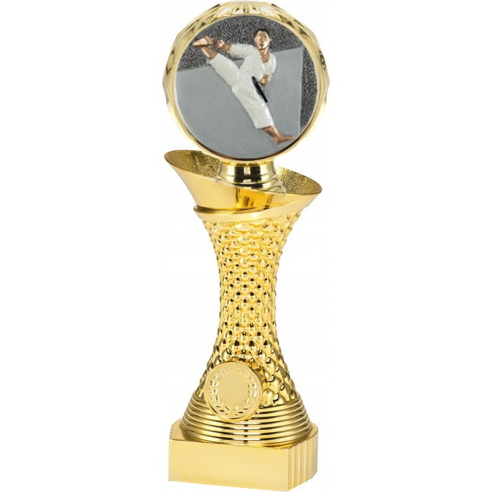 MARTIAL ARTS  TROPHY  - AVAILABLE IN 3 SIZES